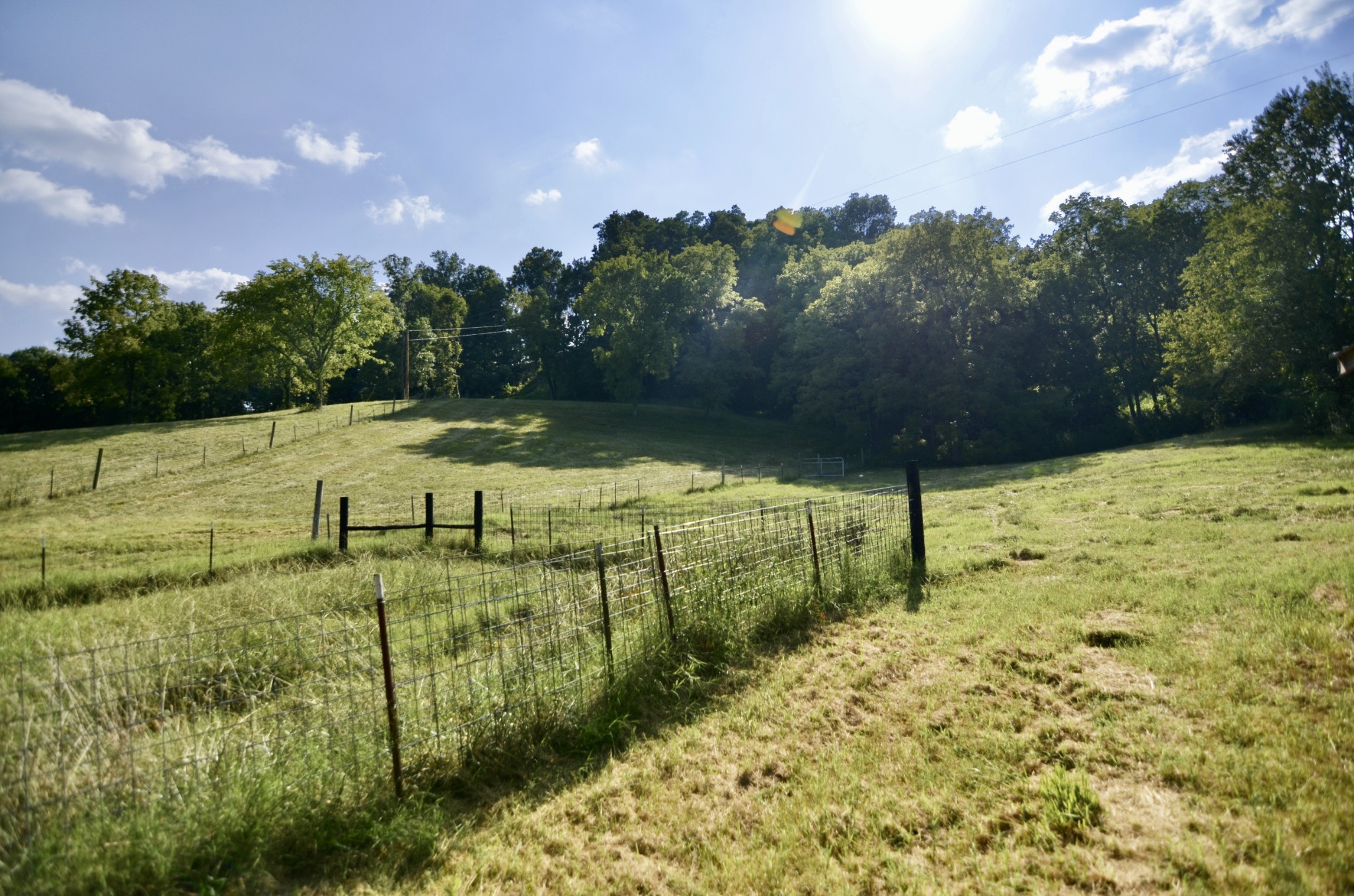 2909 Fly Road Santa Fe, TN 38482 - Photo 43 of 56
