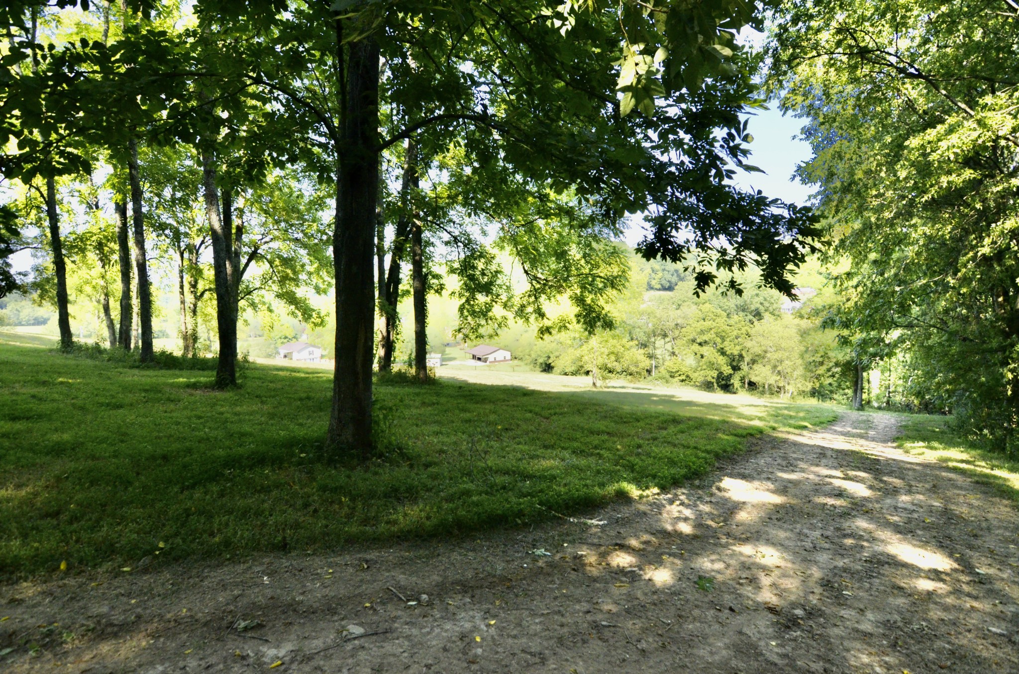 2909 Fly Road Santa Fe, TN 38482 - Photo 46 of 56 a view of grassy field with trees
