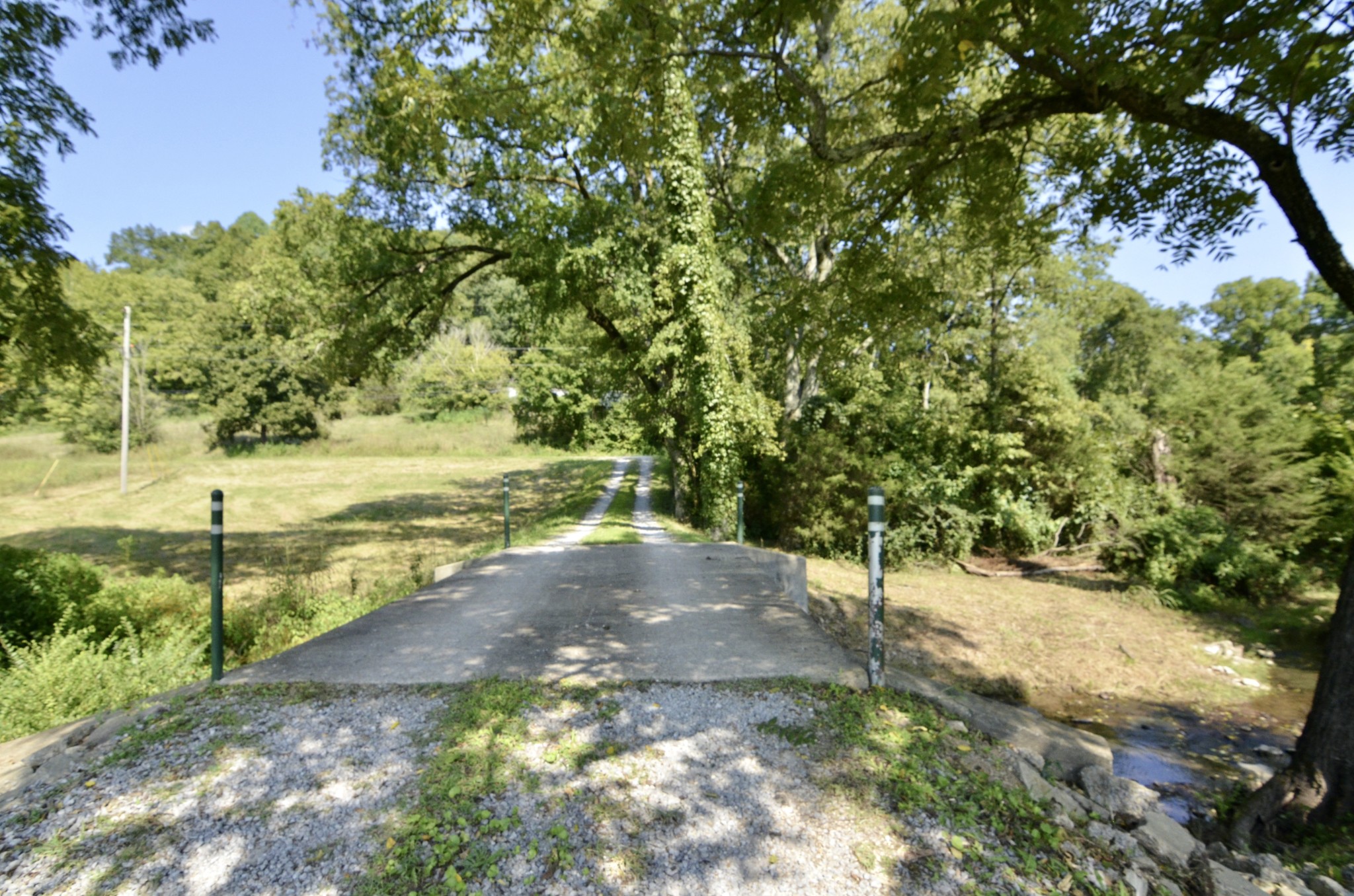 2909 Fly Road Santa Fe, TN 38482 - Photo 10 of 56 a view of a yard with a tree