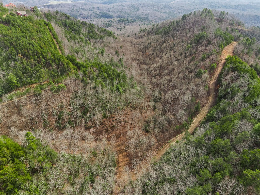 13-acres American Eagle Road Murphy, NC 28906 - Photo 7 of 17