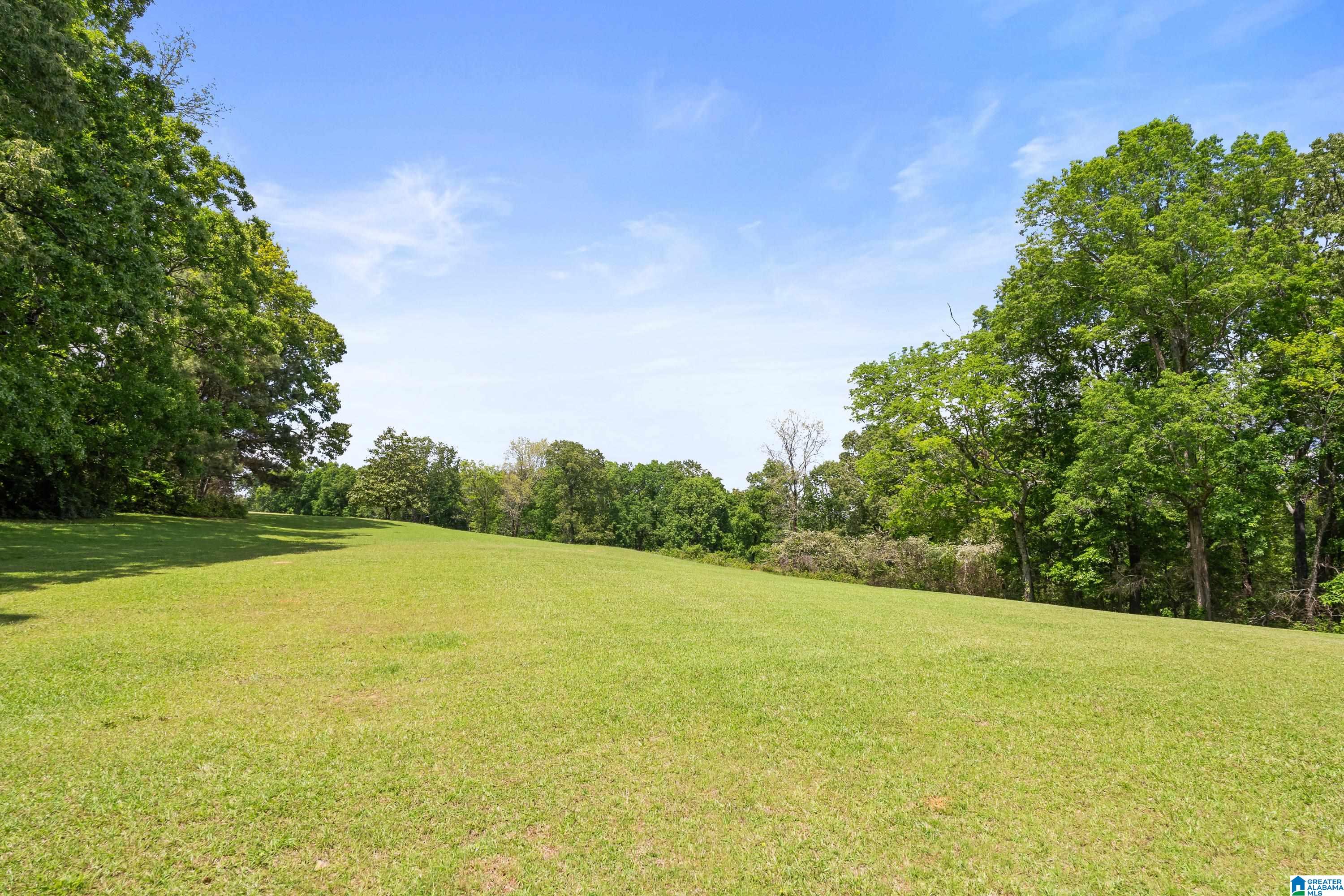 3671 White Road Dora, AL 35062 - Photo 56 of 67
