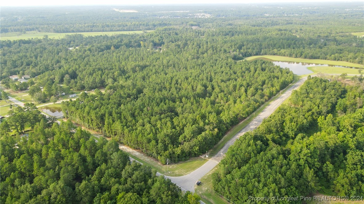 Davis Bridge Road Parkton, NC 28371 - Photo 3 of 23 Gallery Image 3