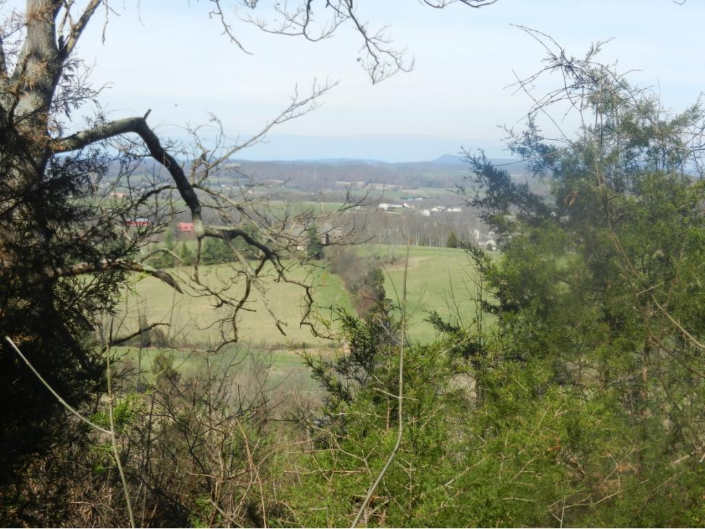 150 McCarty Church Road Telford, TN 37690 - Photo 3 of 35 Beautiful Long Range views