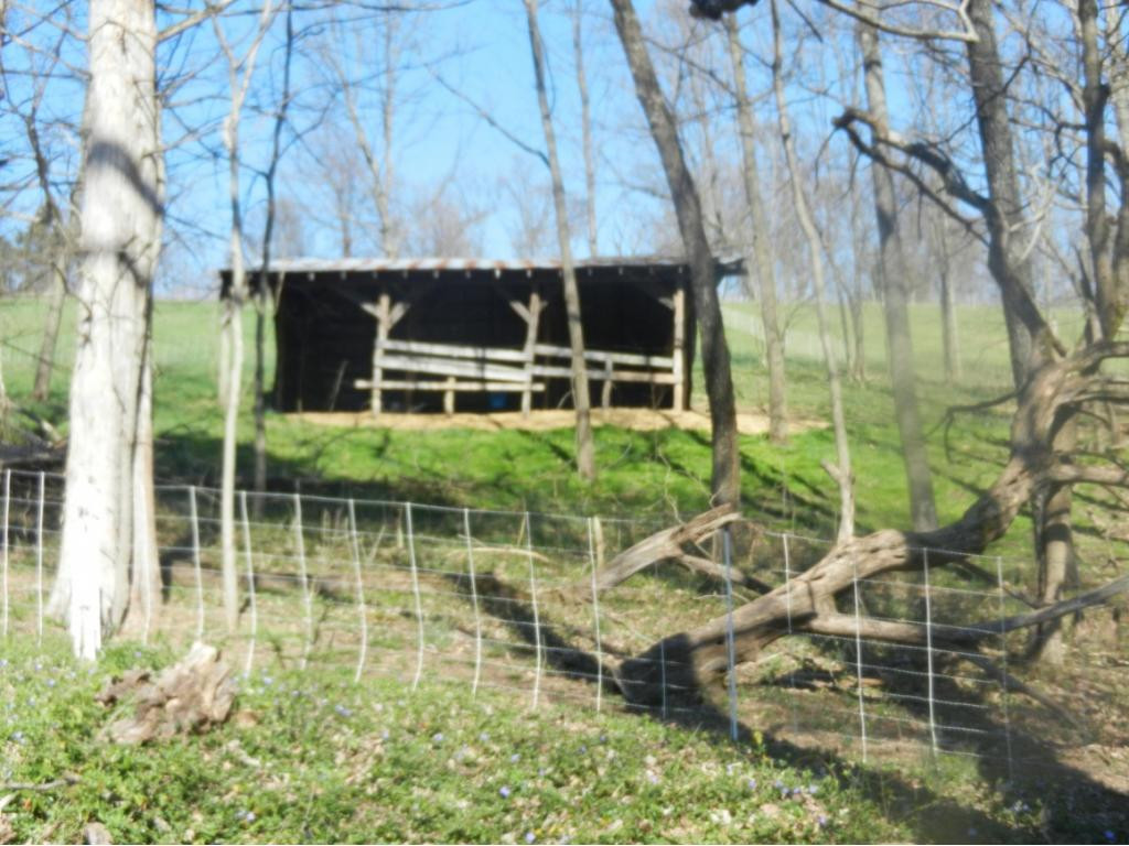 150 McCarty Church Road Telford, TN 37690 - Photo 5 of 35 Photo 5