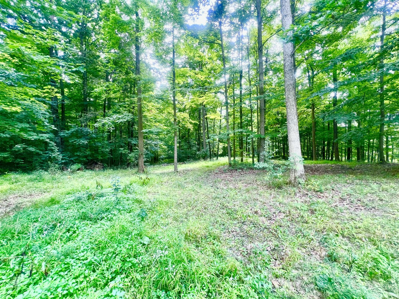 2201 South Sand Lake Road Hillsdale, MI 49242 - Photo 12 of 32
