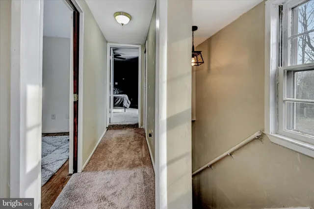 a view of backyard of house with green space