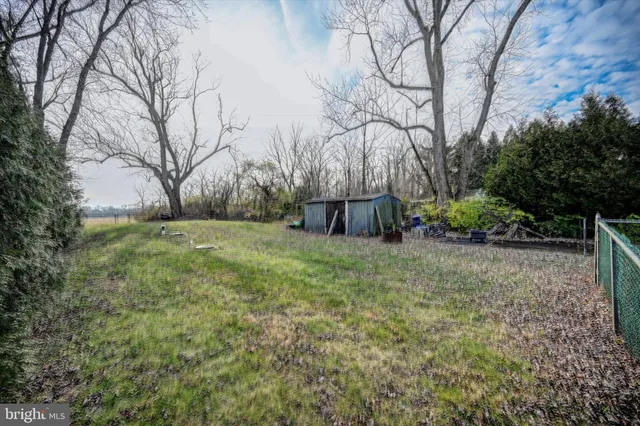 a view of a field with large trees