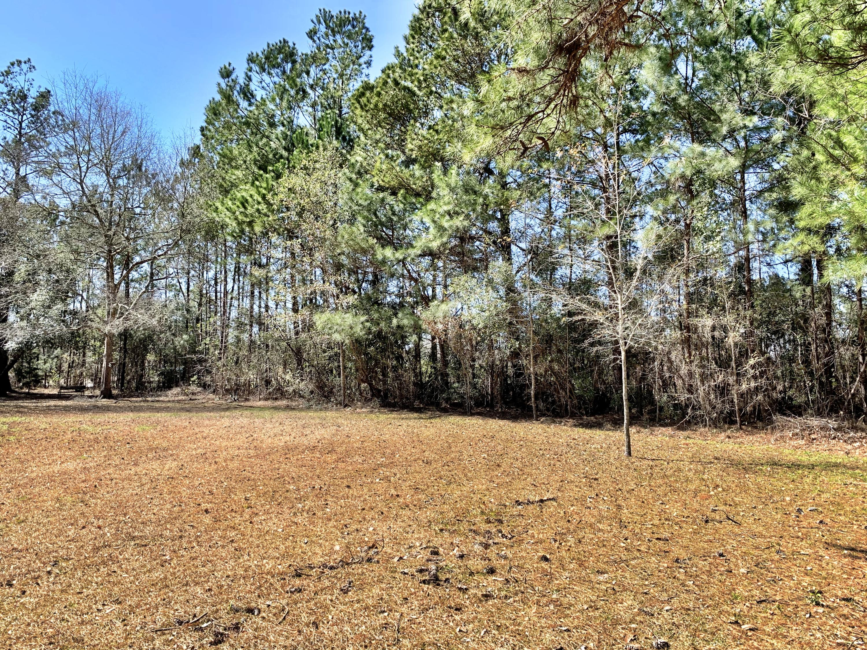 2510 Harristown Road St. Stephen, SC 29479 - Photo 29 of 33 IMG_6835