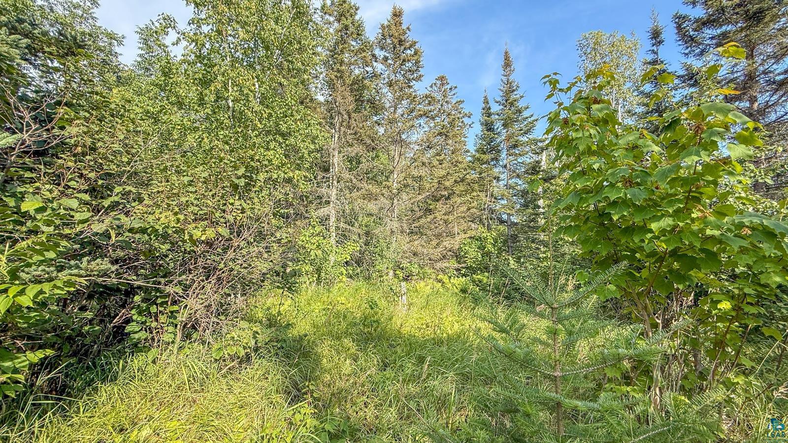 Xxx1 Mink Ranch Road Lutsen, MN 55612 - Photo 7 of 19 Gallery Image 7