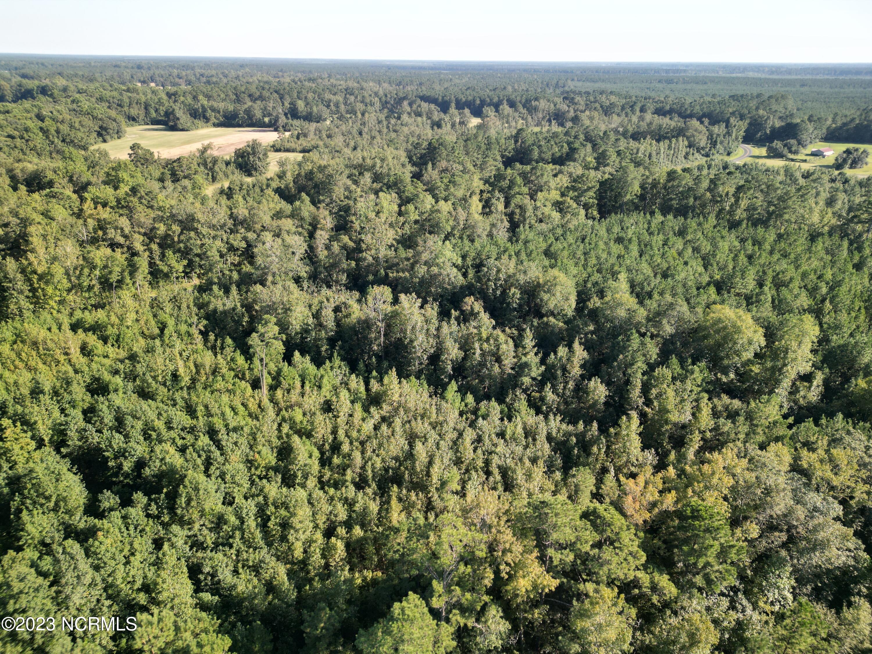 0 Figure 9 Road Council, NC 28434 - Photo 7 of 28 5