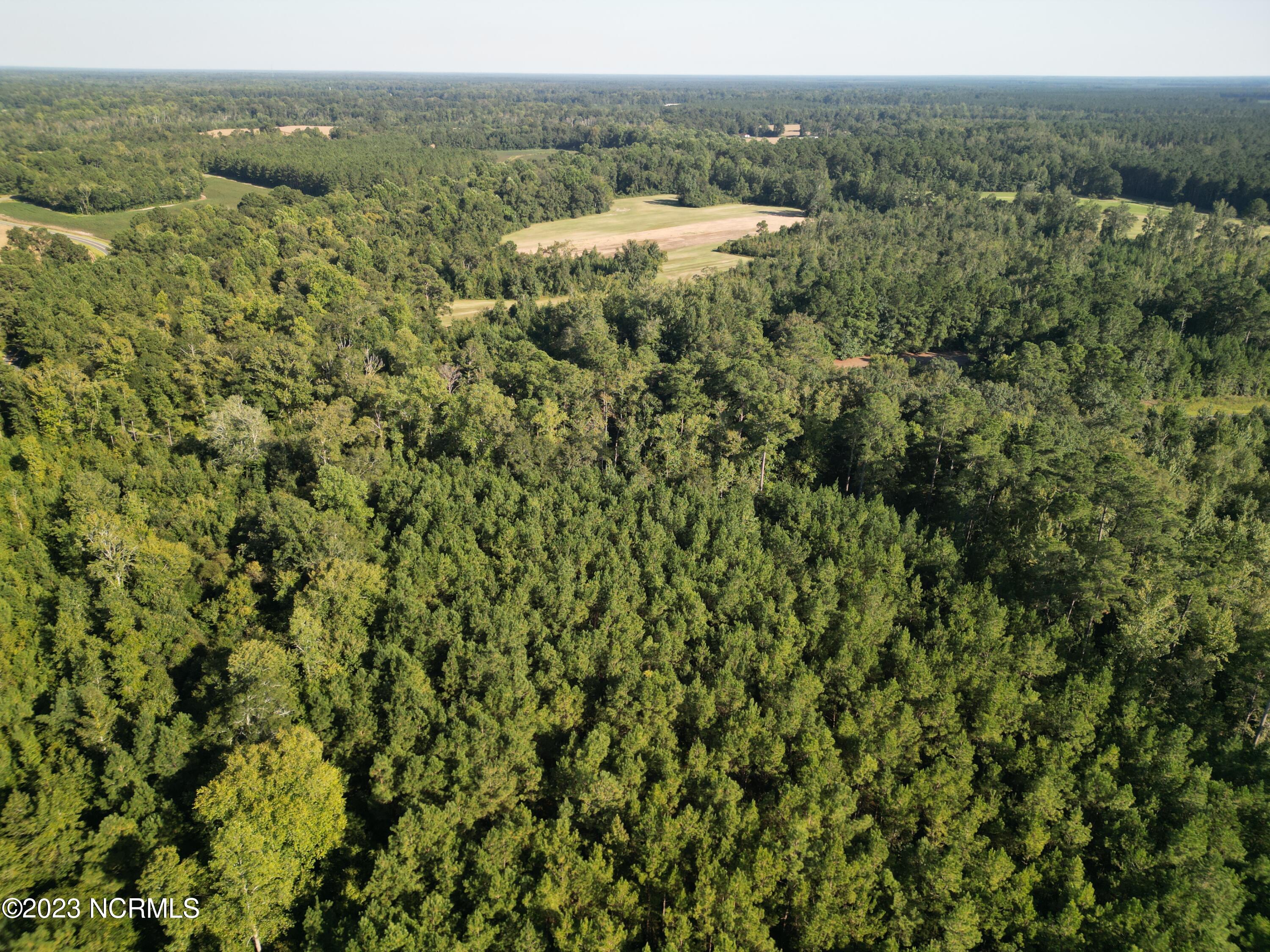 0 Figure 9 Road Council, NC 28434 - Photo 8 of 28 6