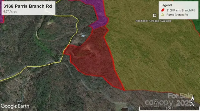 a view of a lush green forest