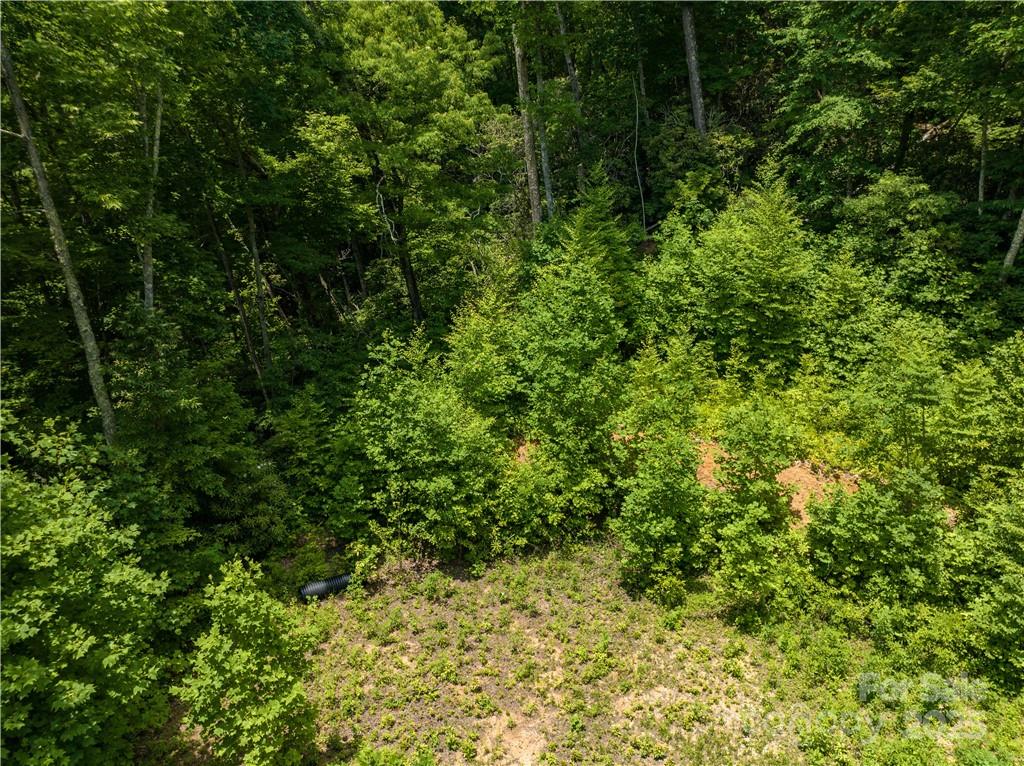 3168 Parris Branch Road, Unit 16 D E F Sylva, NC 28779 - Photo 7 of 8 a view of a lush green forest