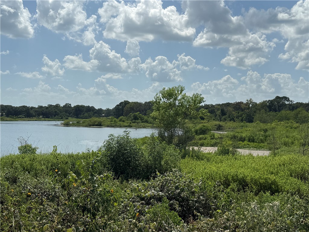 1163 Sugar Hill Road Caldwell, TX 77836 - Photo 12 of 20 a view of a lake from a yard