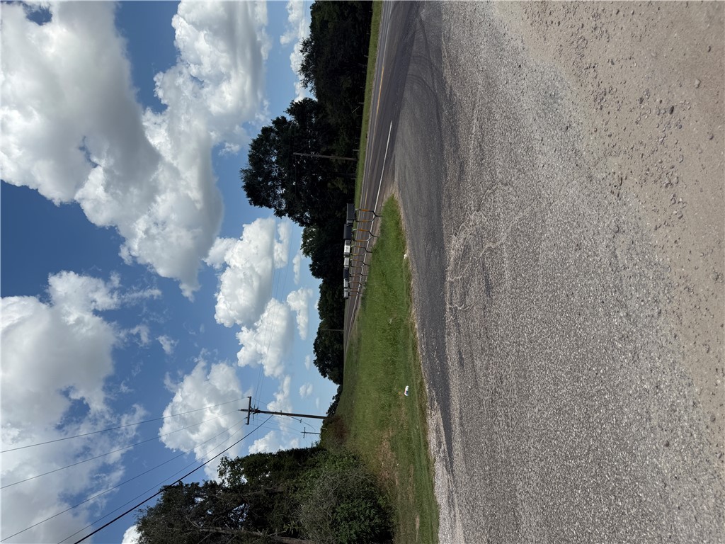 1163 Sugar Hill Road Caldwell, TX 77836 - Photo 14 of 20 a view of a big yard with large trees