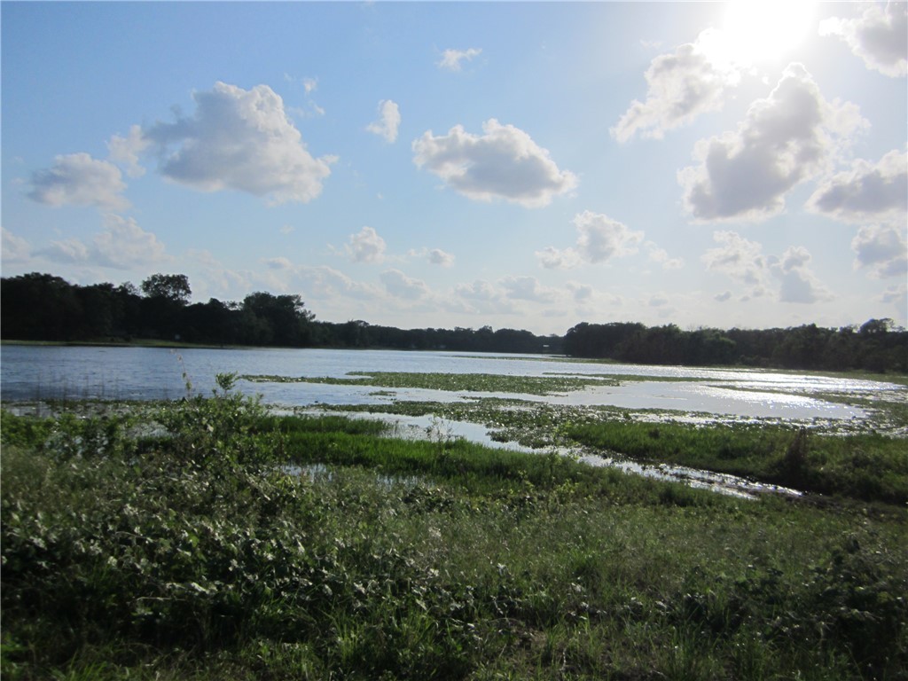 1163 Sugar Hill Road Caldwell, TX 77836 - Photo 15 of 20 a view of a lake with a big yard