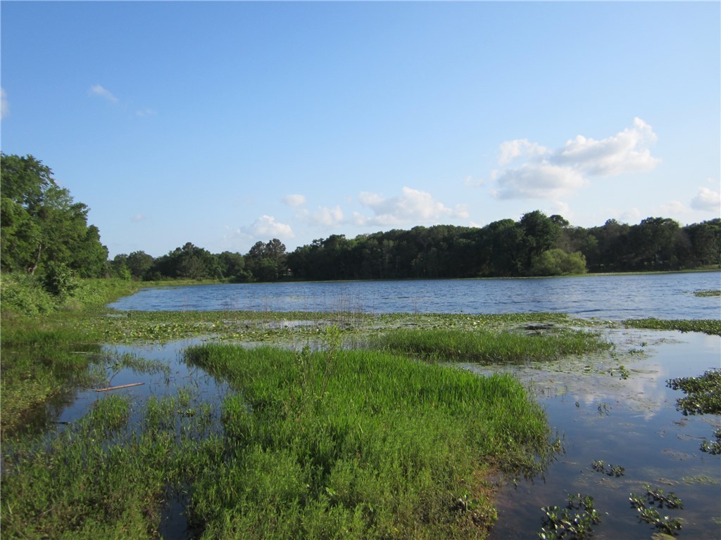 1163 Sugar Hill Road Caldwell, TX 77836 - Photo 16 of 20 a view of a lake with houses in the back