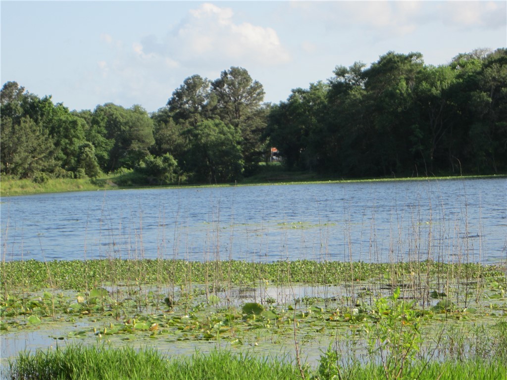 1163 Sugar Hill Road Caldwell, TX 77836 - Photo 17 of 20 a view of a yard
