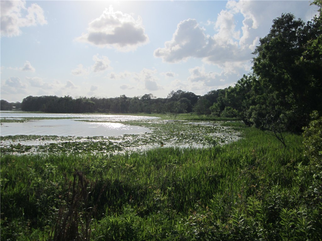 1163 Sugar Hill Road Caldwell, TX 77836 - Photo 18 of 20 a view of lake with mountain