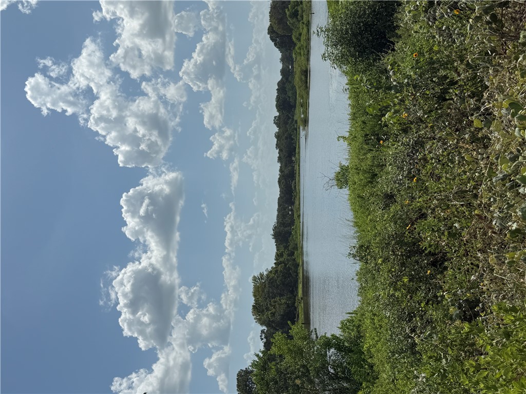 1163 Sugar Hill Road Caldwell, TX 77836 - Photo 3 of 20 a view of a lake from a yard