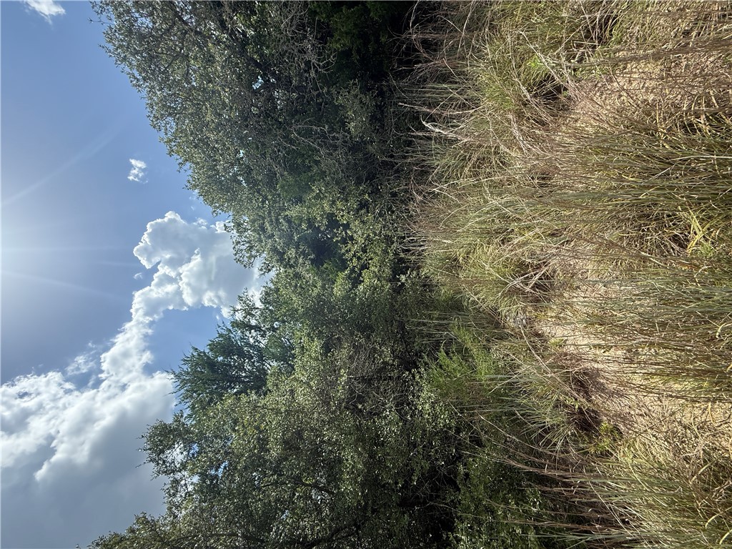 1163 Sugar Hill Road Caldwell, TX 77836 - Photo 6 of 20 a view of a lake