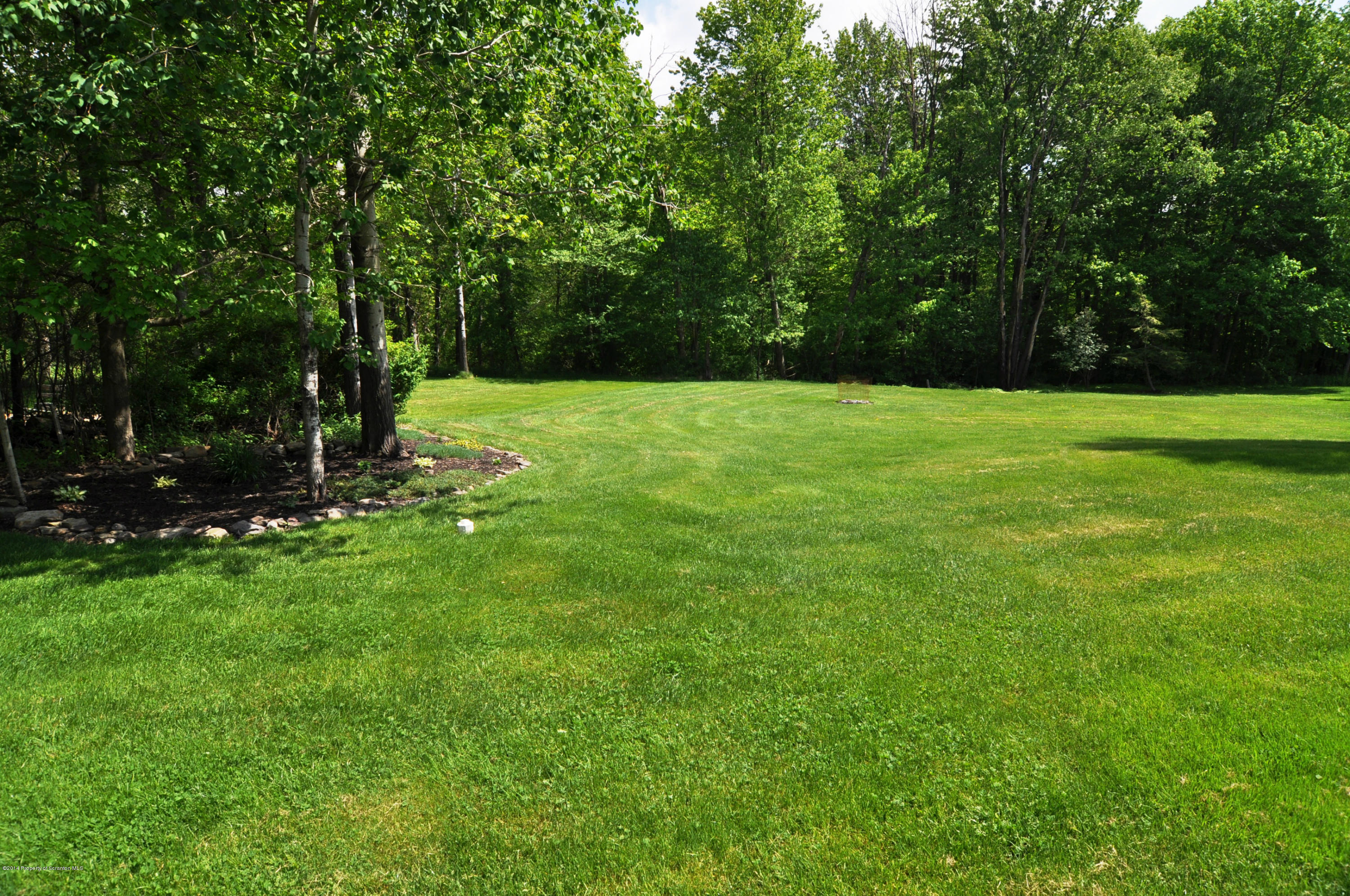 116 Griffin Road Moscow, PA 18444 - Photo 44 of 50 a view of backyard with green space