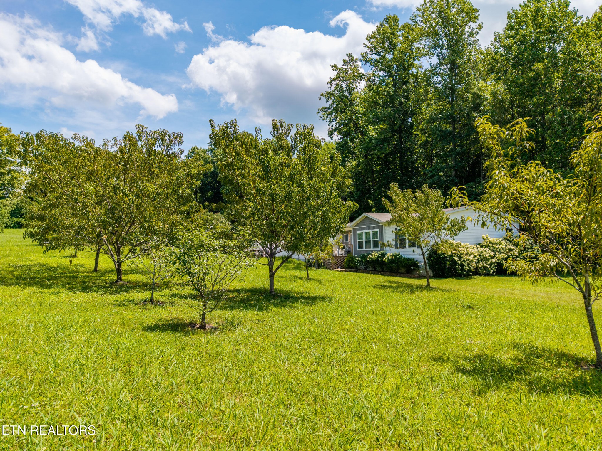 358 Webb Road Townsend, TN 37882 - Photo 46 of 53 Gallery Image 46
