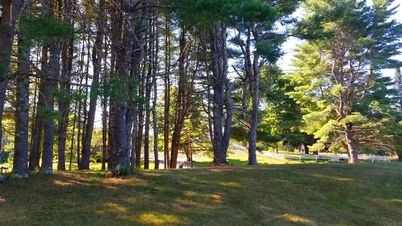 52 North Newcastle Road Newcastle, ME 04553 - Photo 15 of 50 Pine Grove-1-1280 x 720