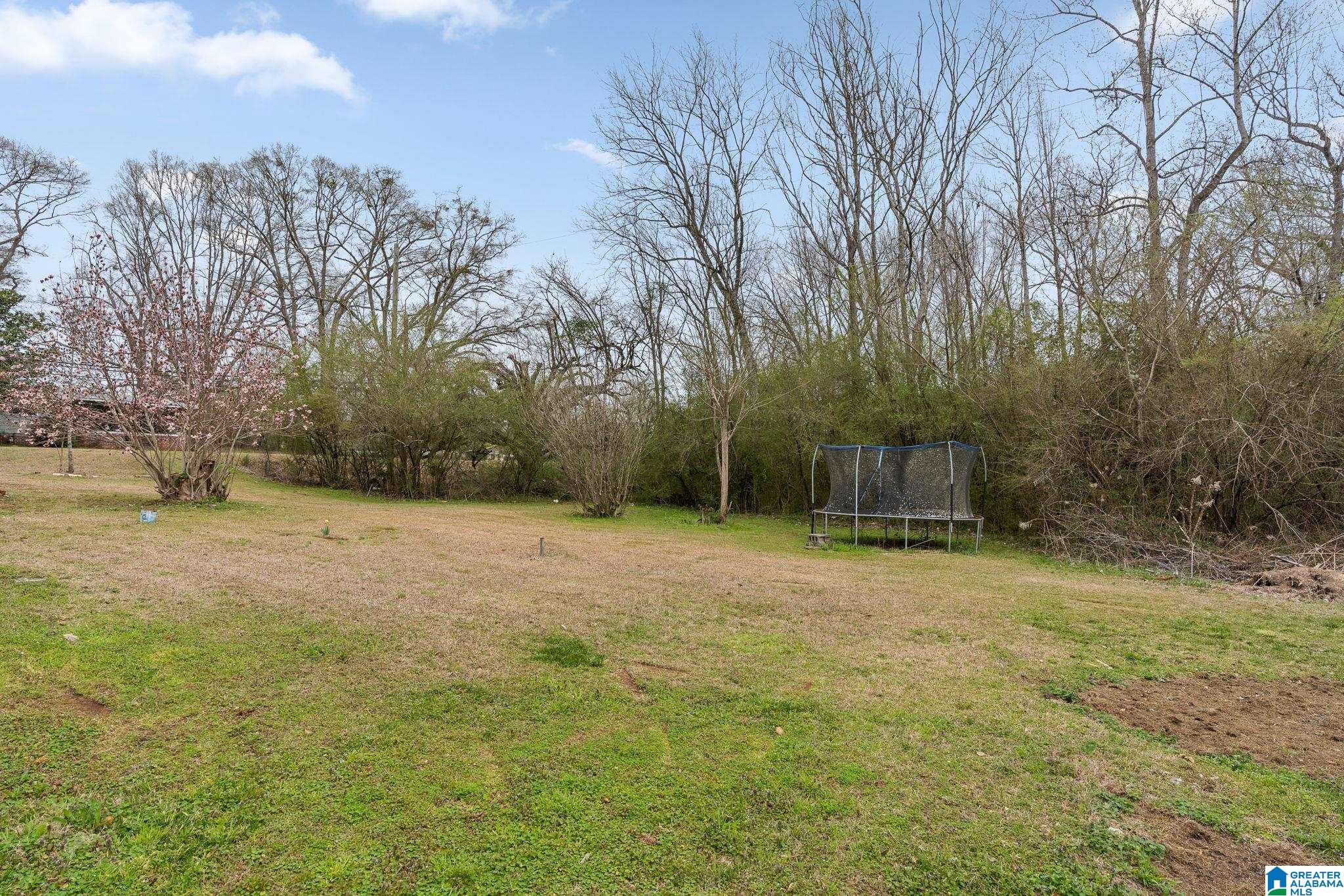 6074 Flat Top Road Dora, AL 35062 - Photo 26 of 32