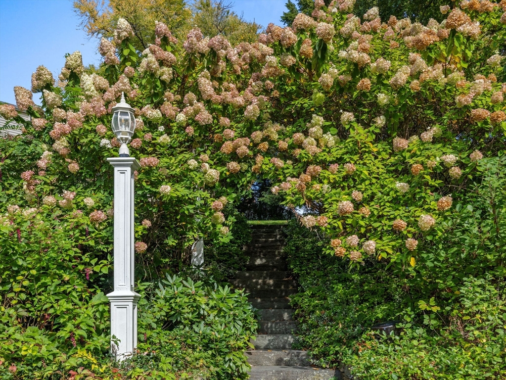 24 Ardmore Road Framingham, MA 01702 - Photo 38 of 42