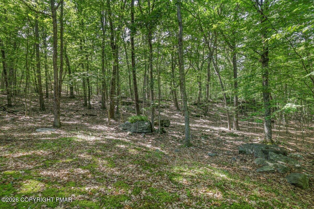 158 Saunders Drive Bushkill, PA 18324 - Photo 44 of 75 42- Backyard