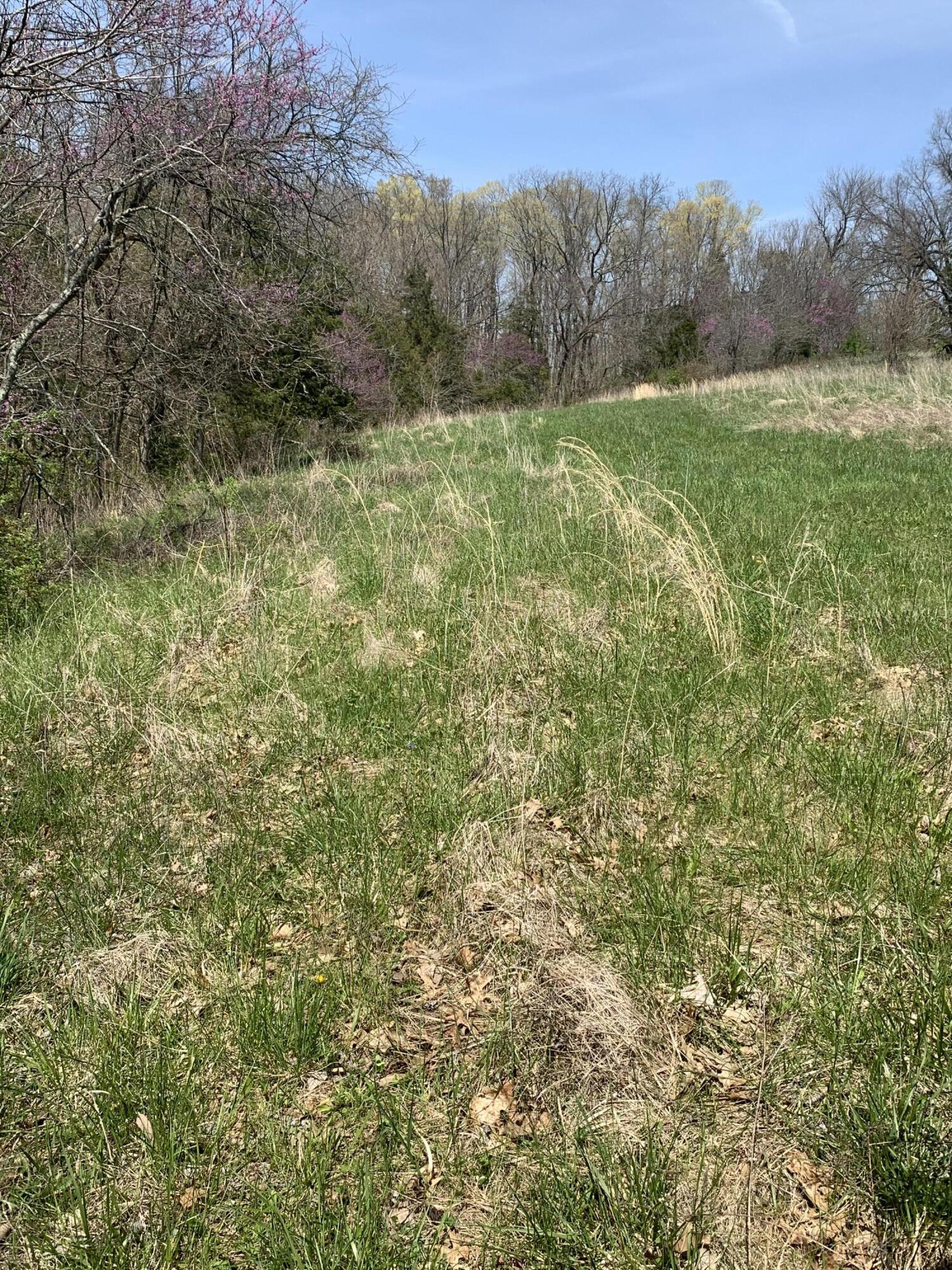 1000 Britton Road Harrodsburg, KY 40330 - Photo 49 of 88 F79C4522-0AC0-4D9E-8858-281ED6C38222