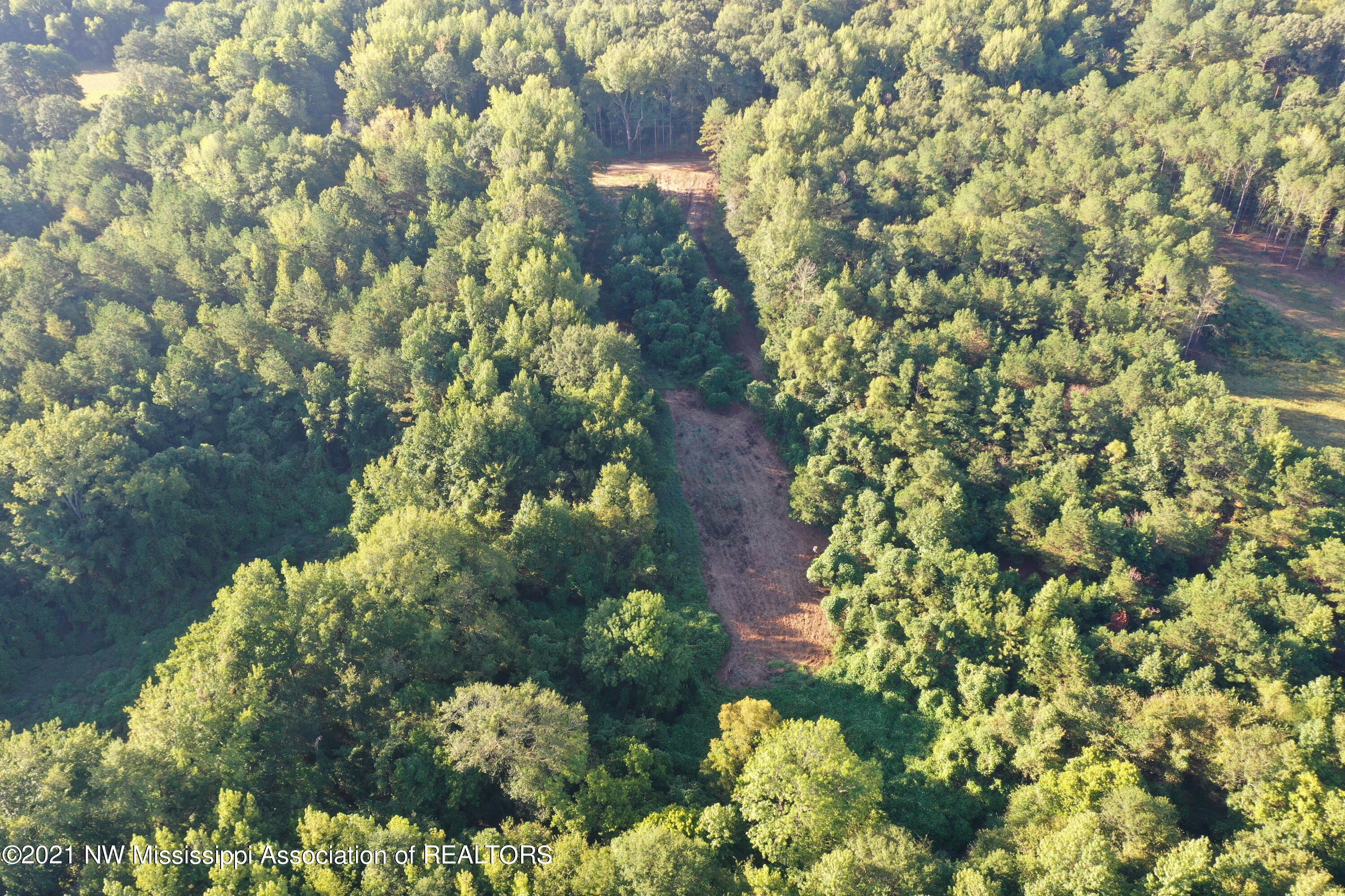 DJI_0513