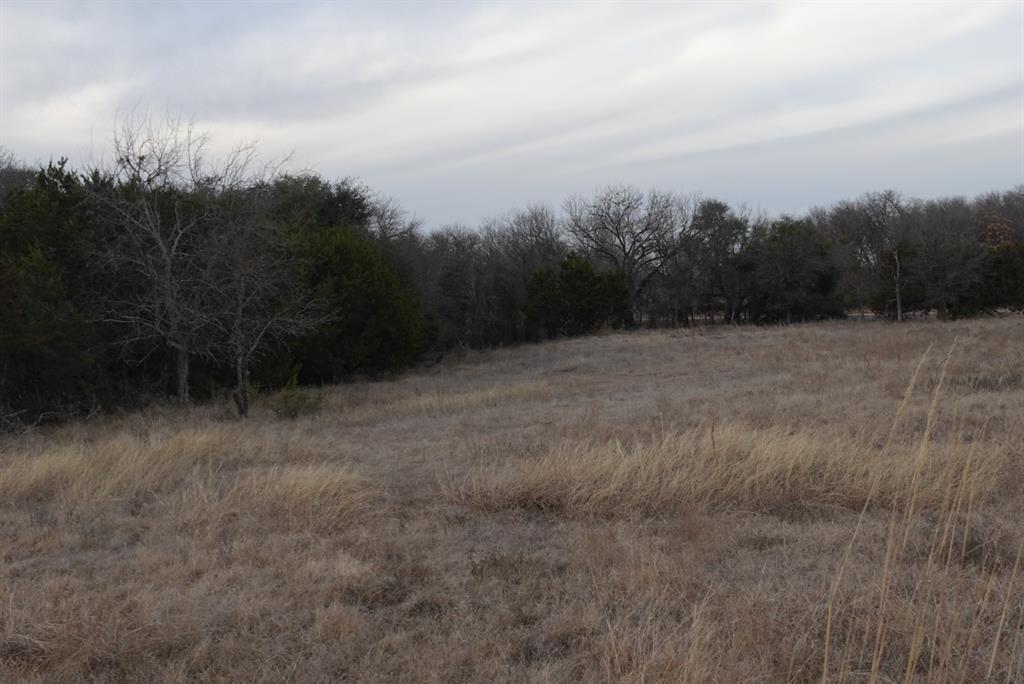 320 County Road 320 Dublin, TX 76446 - Photo 19 of 20