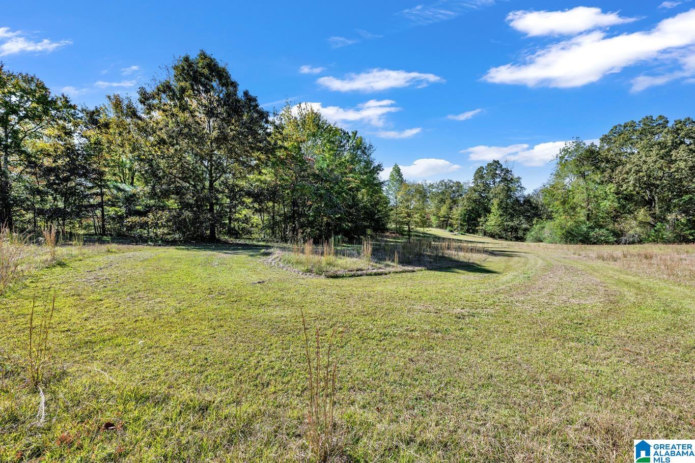 535 Ridge Trail Warrior, AL 35180 - Photo 38 of 64 Gallery Image 38