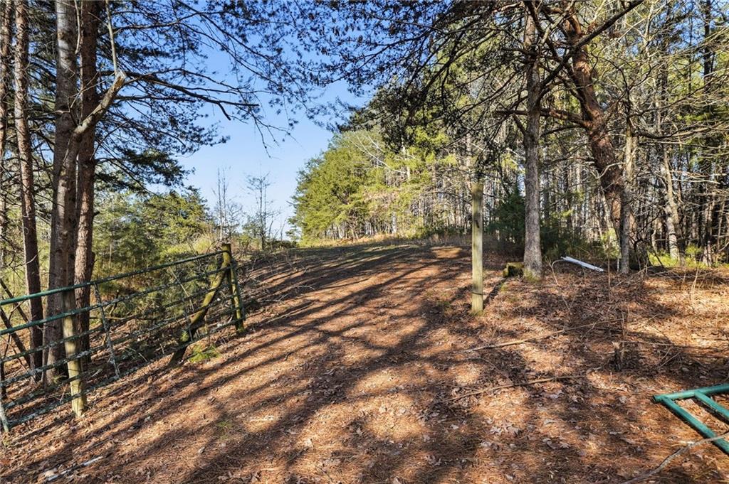 1139 Davis Road West Fairmount, GA 30139 - Photo 38 of 45