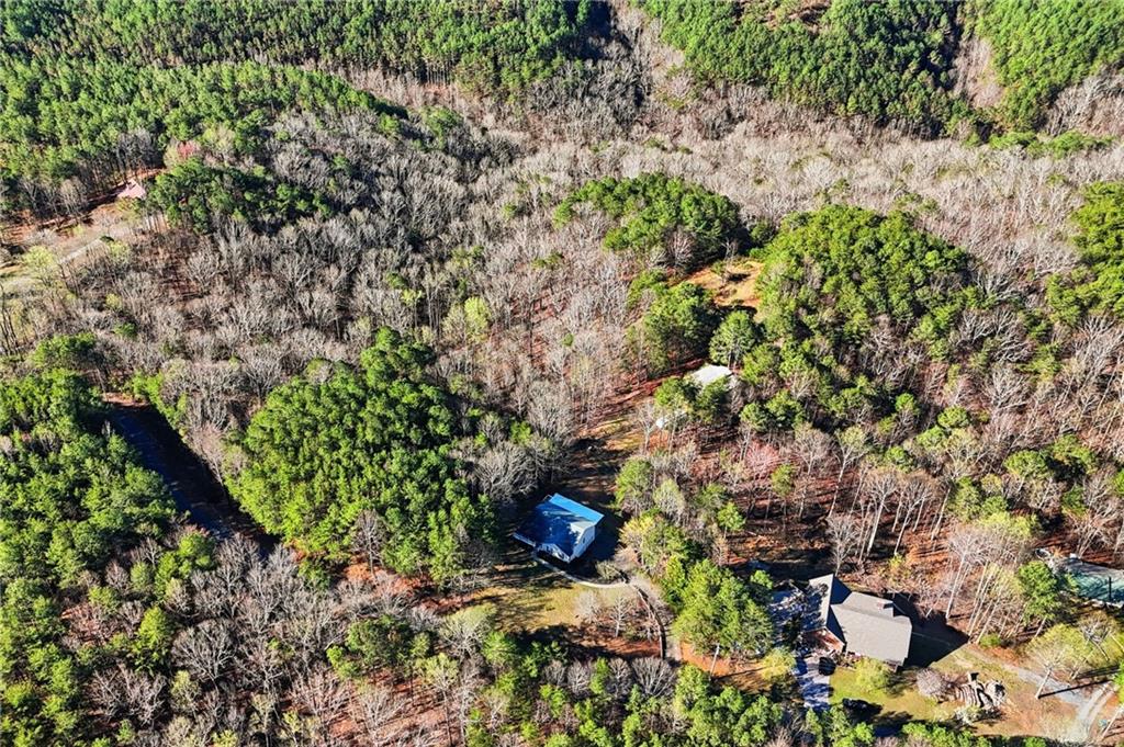 1139 Davis Road West Fairmount, GA 30139 - Photo 42 of 45