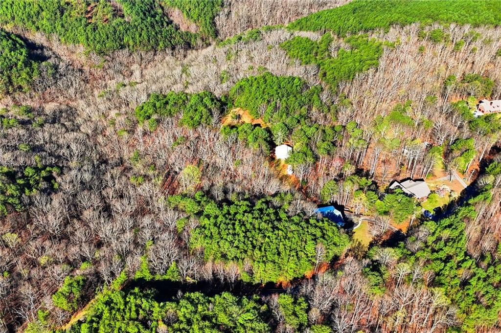 1139 Davis Road West Fairmount, GA 30139 - Photo 43 of 45