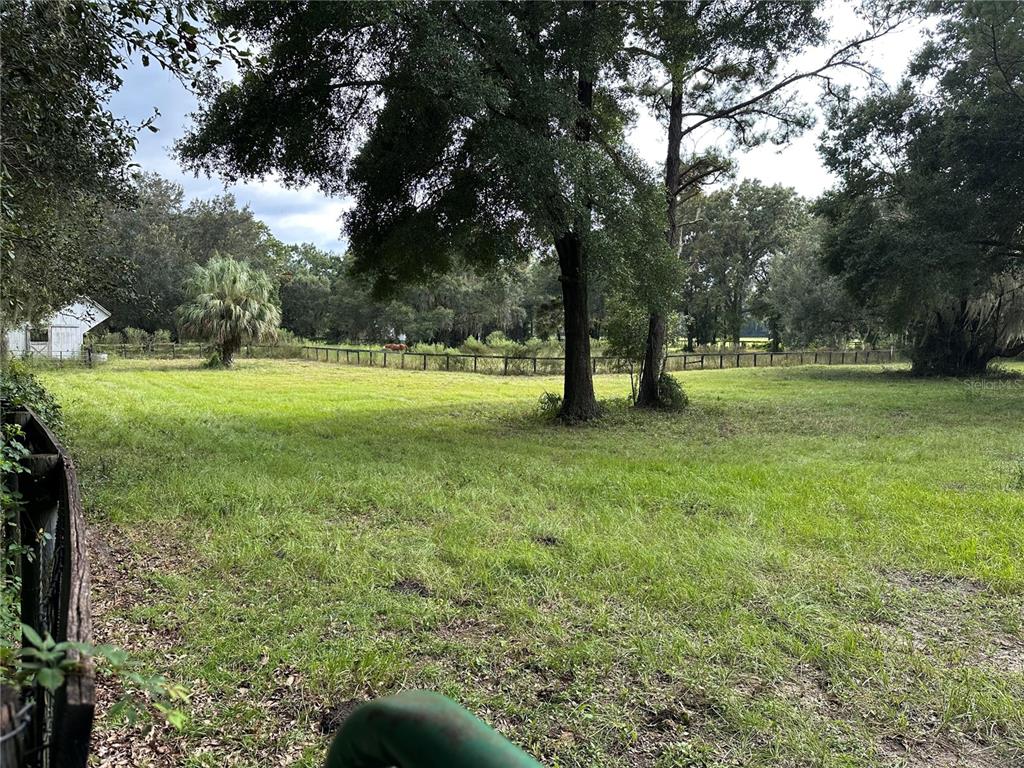 17067 Northwest Gainesville Road Reddick, FL 32686 - Photo 19 of 25 a view of field with trees in the background