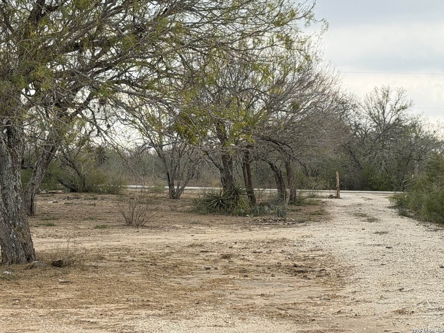 21115 Spanish Grant Road San Antonio, TX 78264 - Photo 16 of 23 a view of a yard with large trees