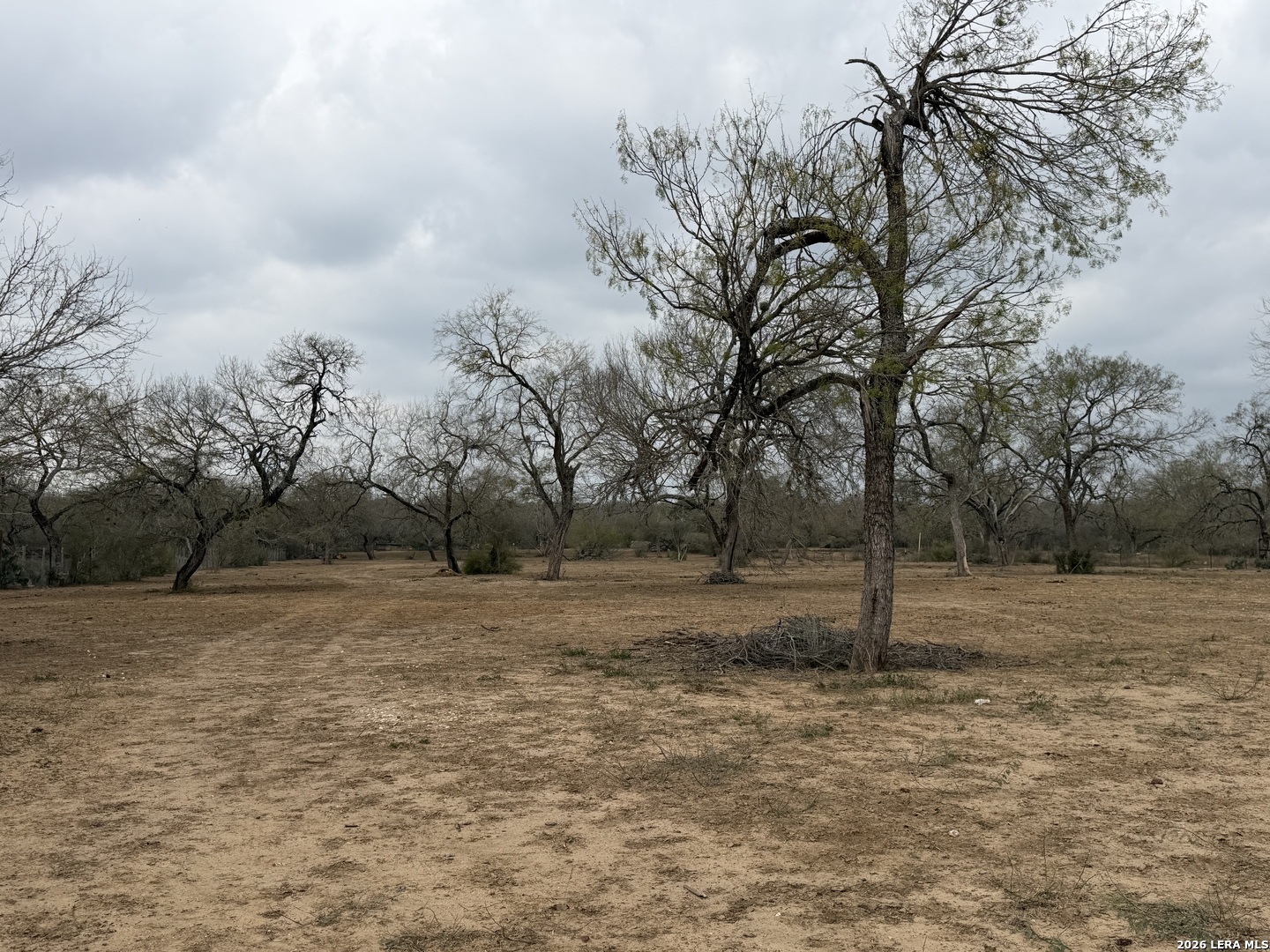 21115 Spanish Grant Road San Antonio, TX 78264 - Photo 17 of 23 a backyard of a house with lots of green space