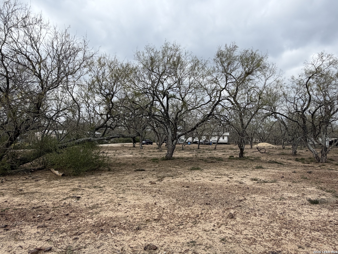 21115 Spanish Grant Road San Antonio, TX 78264 - Photo 18 of 23 a backyard of a house with lots of green space