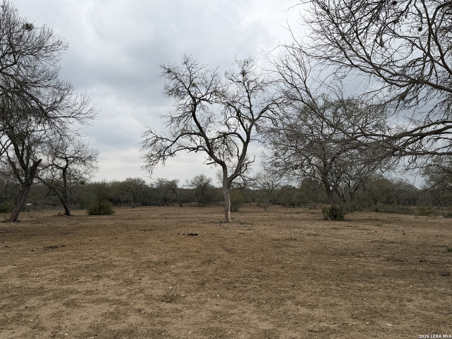 21115 Spanish Grant Road San Antonio, TX 78264 - Photo 19 of 23 a view of dirt field with trees