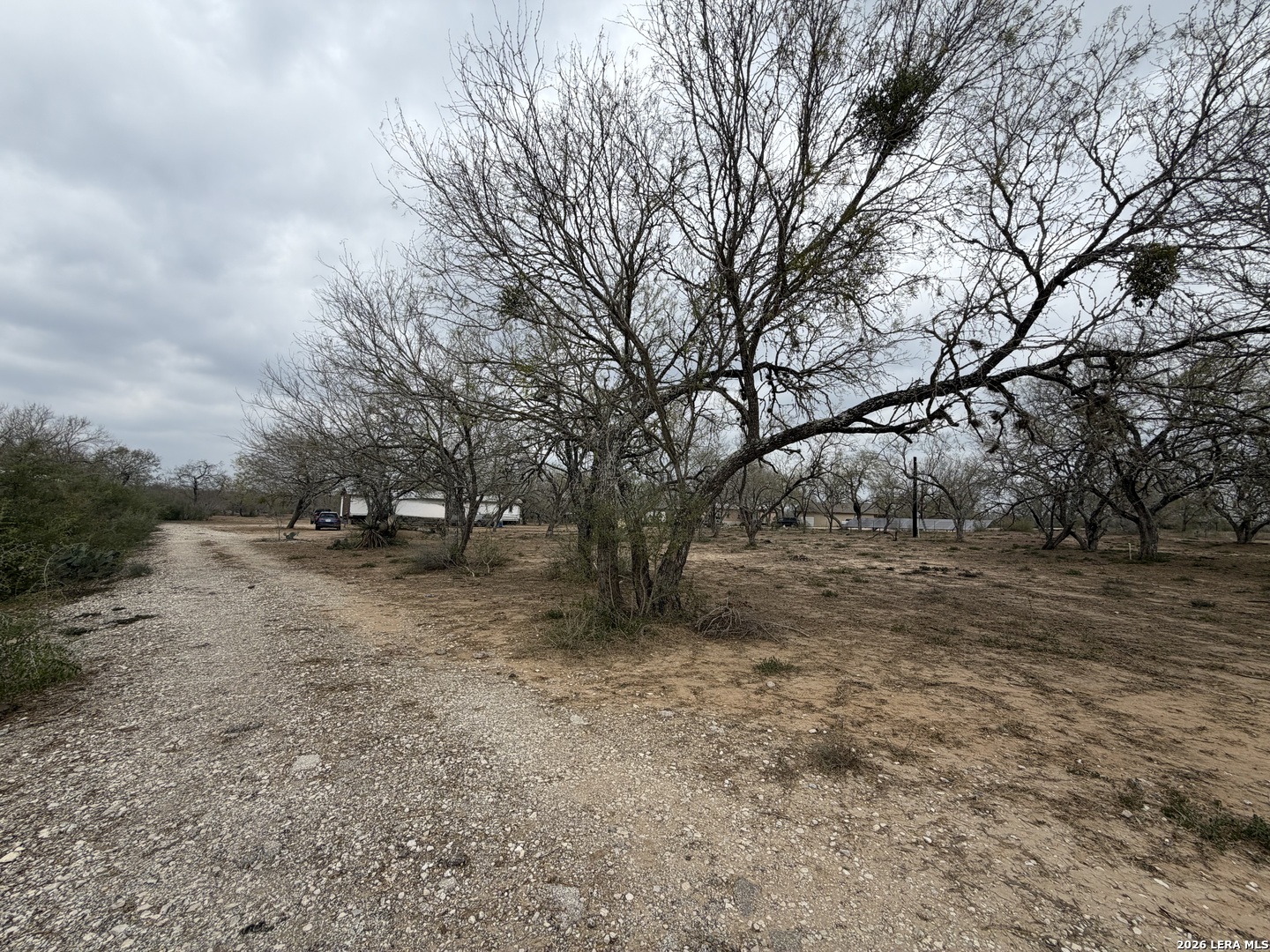 21115 Spanish Grant Road San Antonio, TX 78264 - Photo 2 of 23 a view of dirt yard with a tree