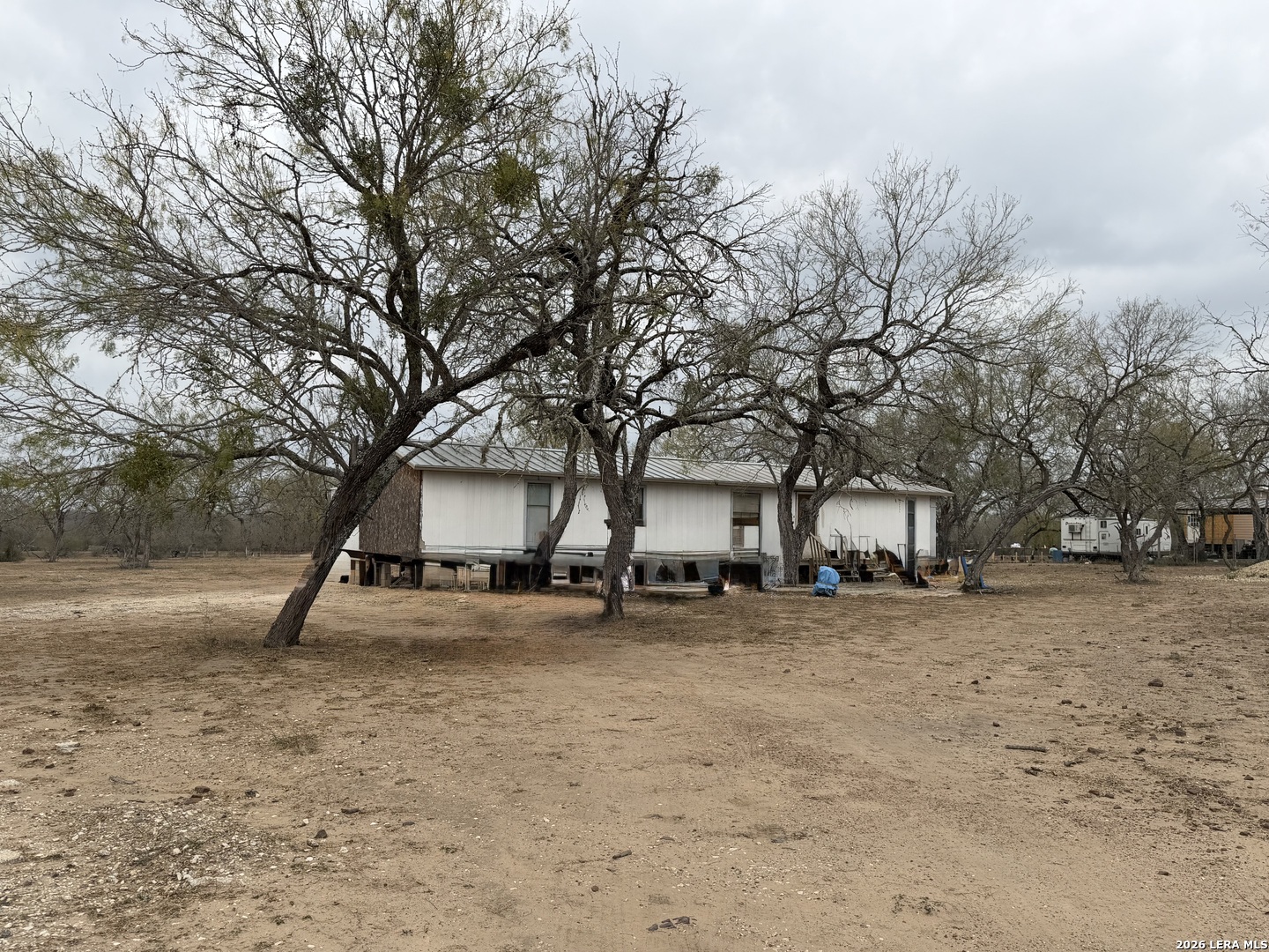 21115 Spanish Grant Road San Antonio, TX 78264 - Photo 21 of 23 a tree is standing in front of a house