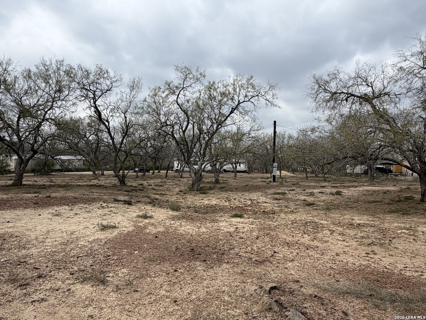 21115 Spanish Grant Road San Antonio, TX 78264 - Photo 3 of 23 a view of outdoor space with trees