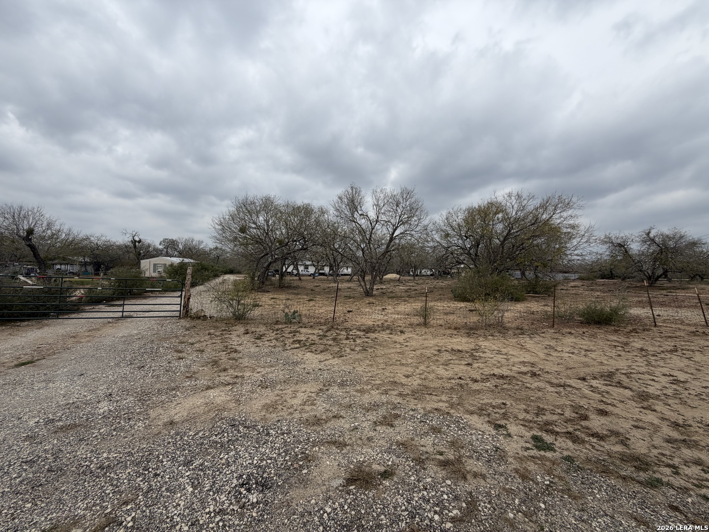 21115 Spanish Grant Road San Antonio, TX 78264 - Photo 5 of 23 a view of a field with trees
