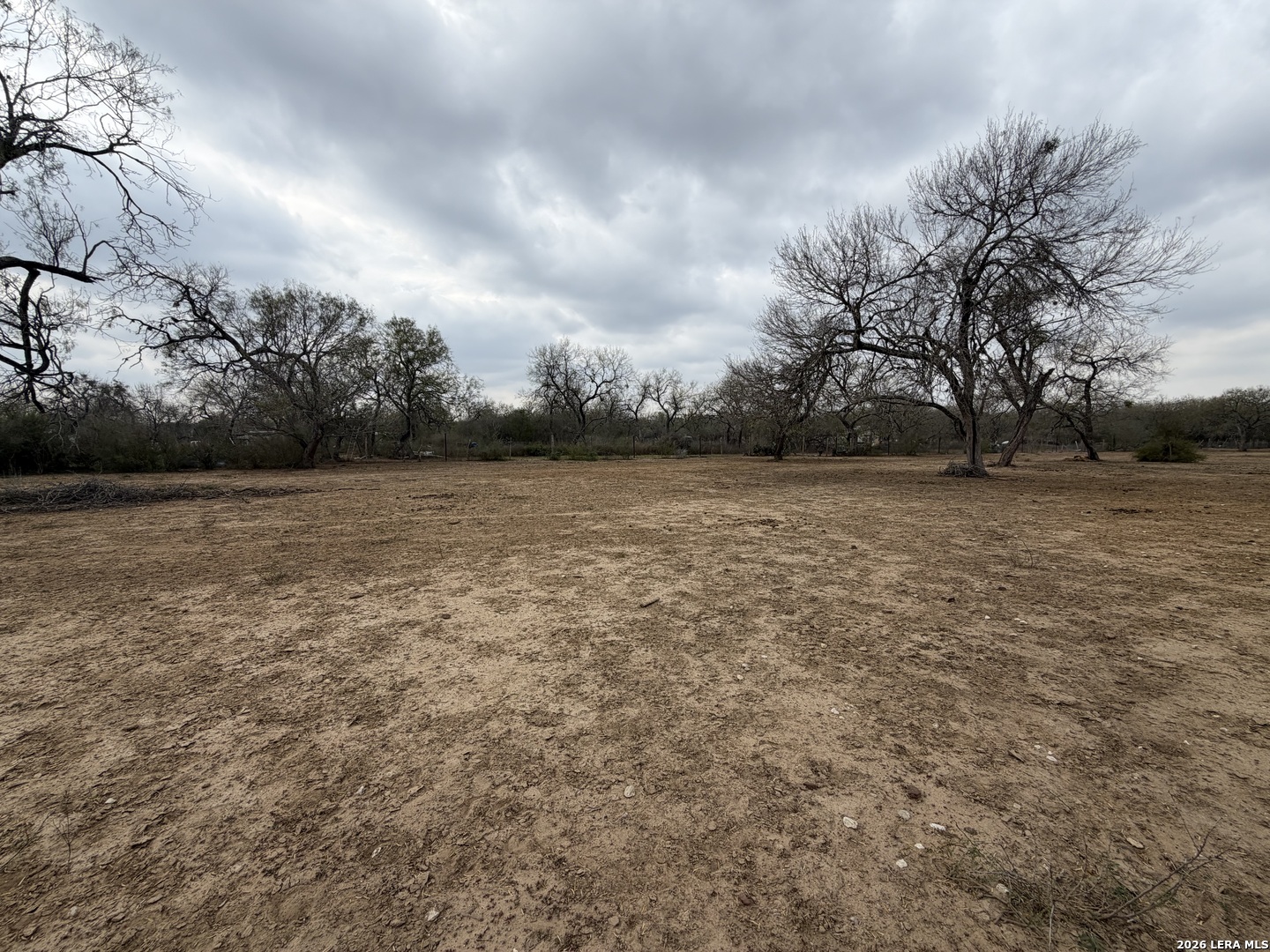 21115 Spanish Grant Road San Antonio, TX 78264 - Photo 6 of 23 a view of park with large trees