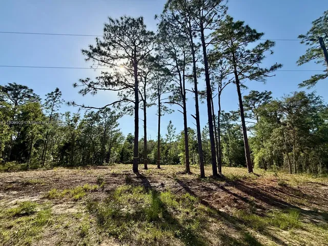 a view of outdoor space with trees