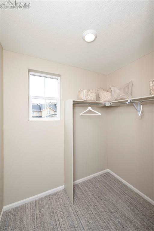 631 Felicity Loop Castle Rock, CO 80109 - Photo 25 of 33 an empty room with a wooden floor and windows